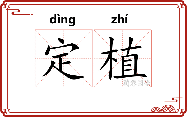 定植 定植