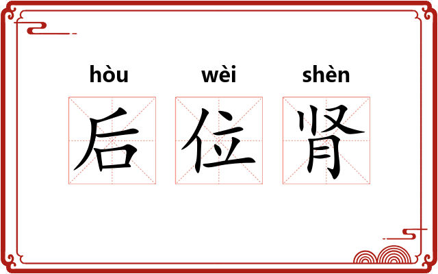 后位肾