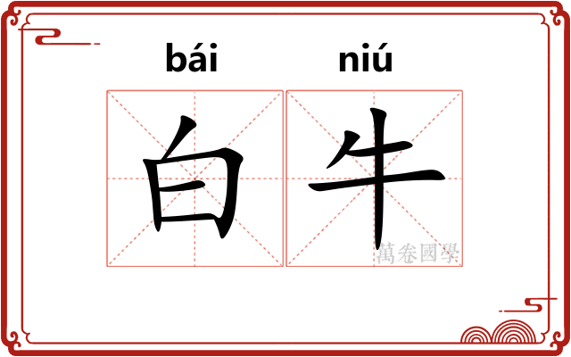 白牛