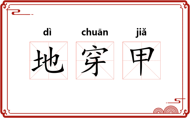地穿甲 地穿甲