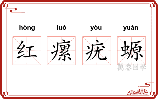 红瘰疣螈