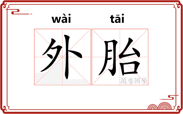 外胎