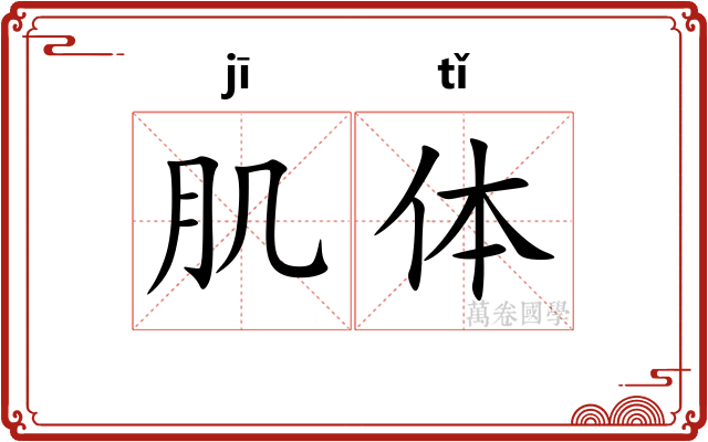 肌体