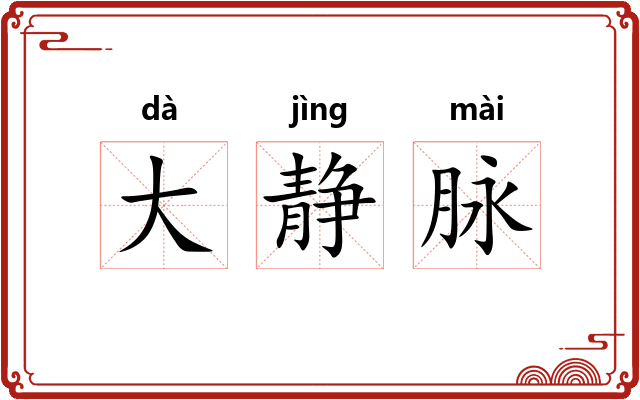 大静脉
