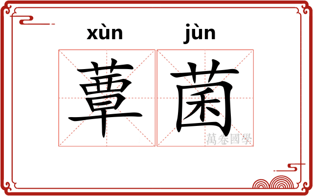 蕈菌