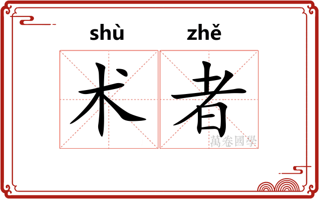 术者