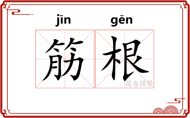 筋根