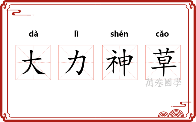 大力神草