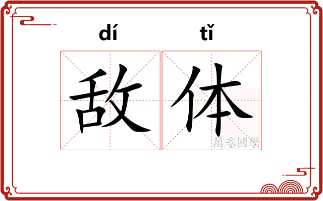 敌体