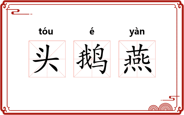 头鹅燕