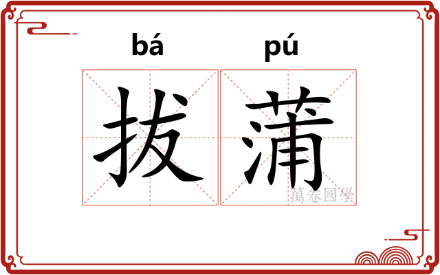 拔蒲