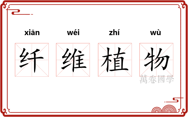 纤维植物