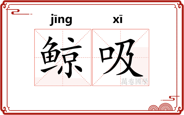 鲸吸