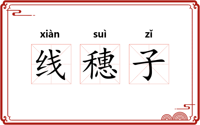 线穗子