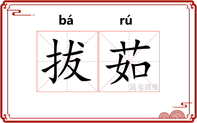 拔茹