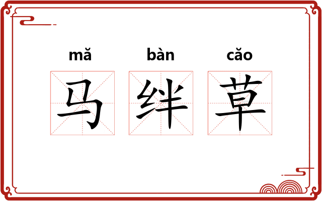 马绊草