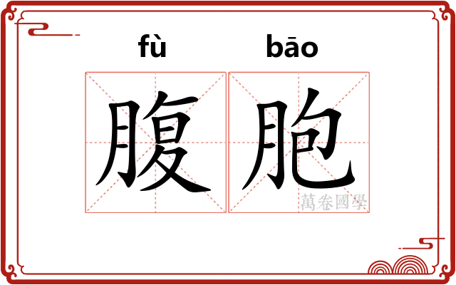 腹胞 腹胞