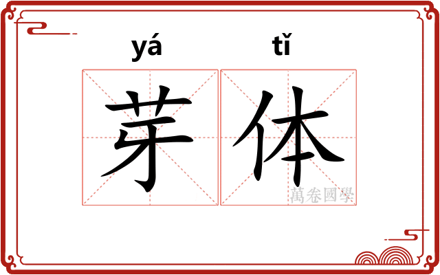 芽体