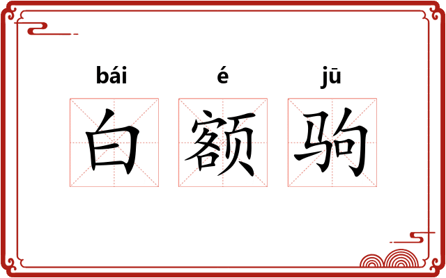 白额驹