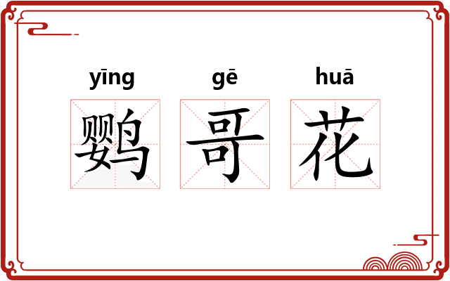 鹦哥花