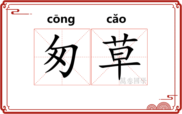匆草