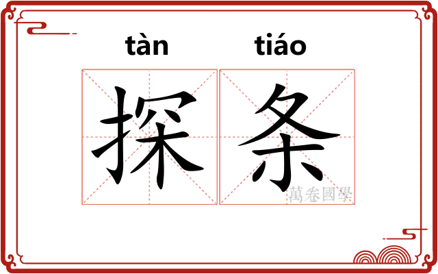 探条
