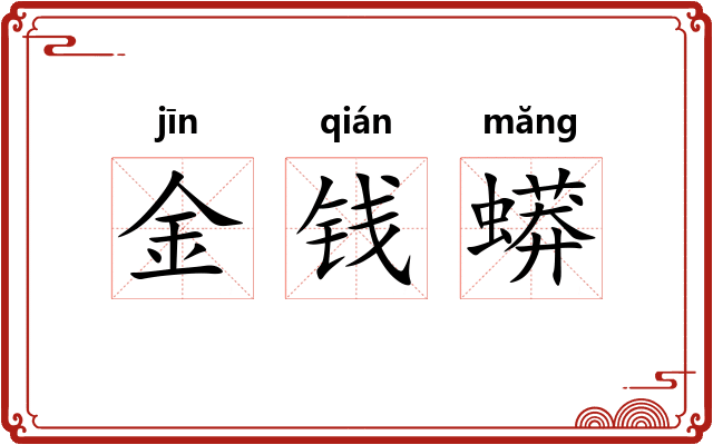 金钱蟒
