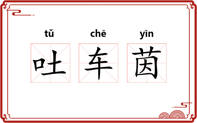 吐车茵 吐车茵