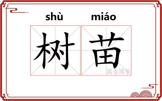 树苗