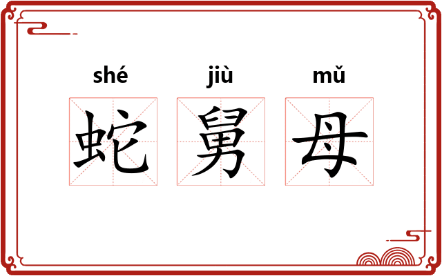 蛇舅母