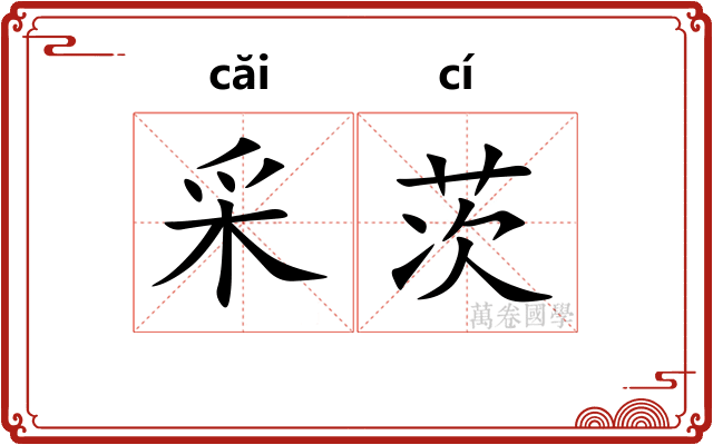 采茨