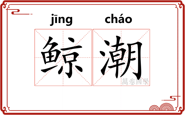 鲸潮