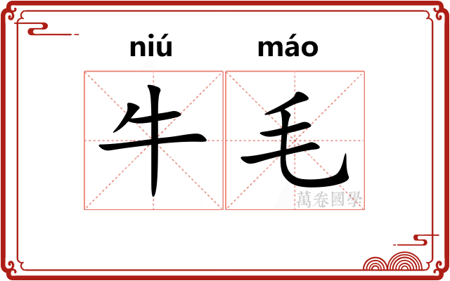 牛毛