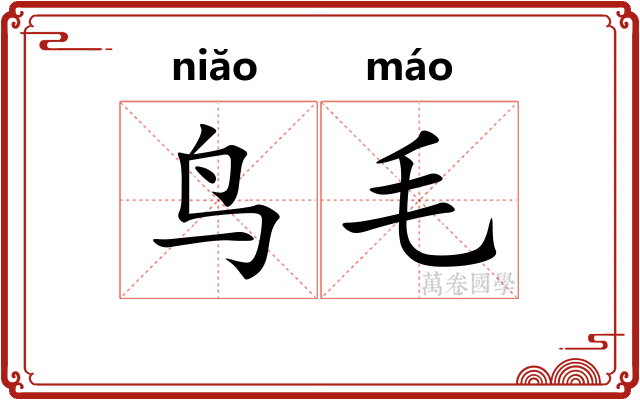 鸟毛