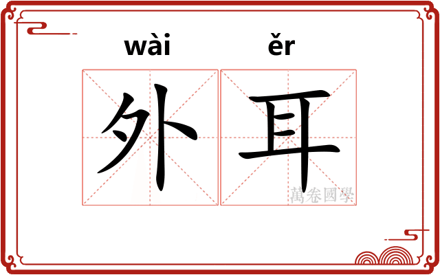 外耳