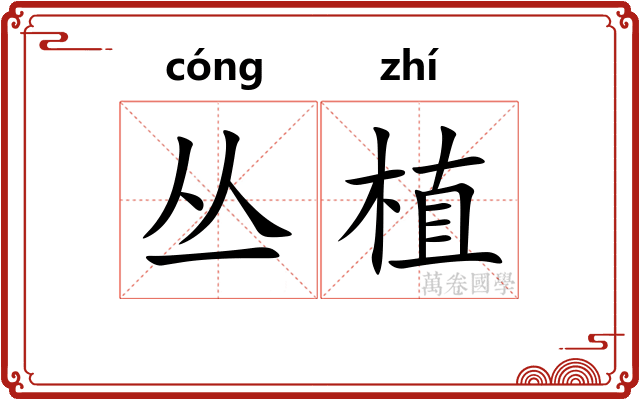丛植