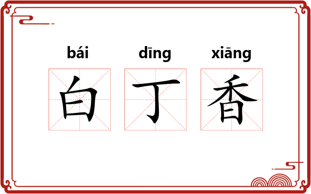 白丁香
