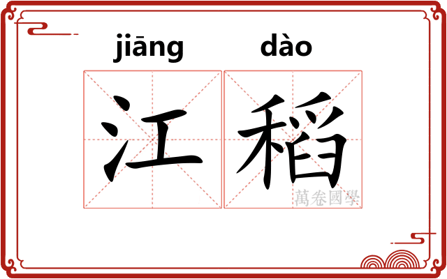 江稻