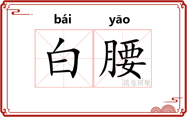 白腰