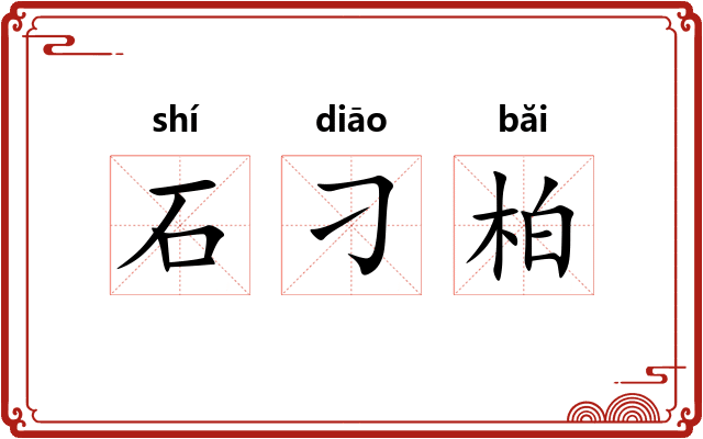 石刁柏