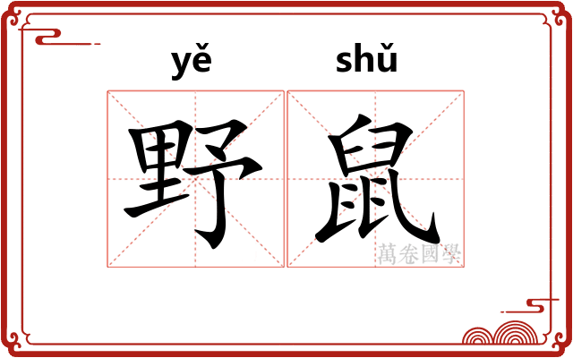 野鼠
