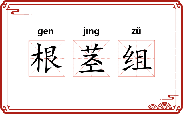 根茎组