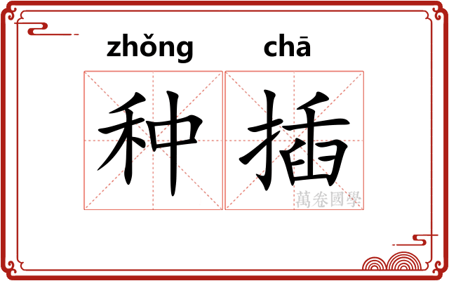 种插