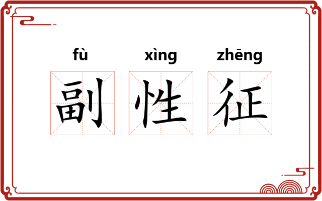 副性征 副性征