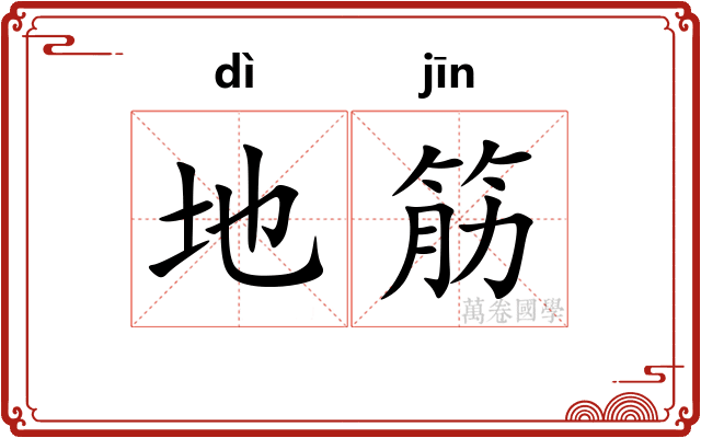 地筋