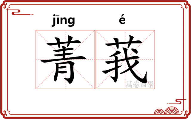 菁莪