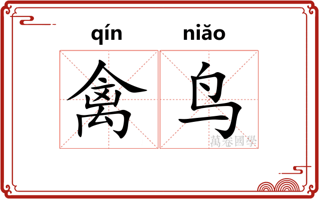 禽鸟