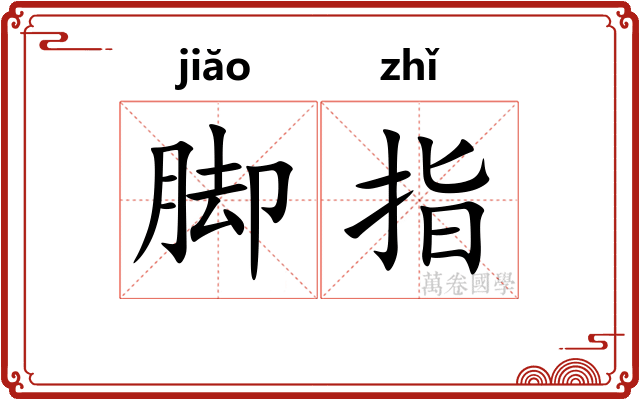 脚指