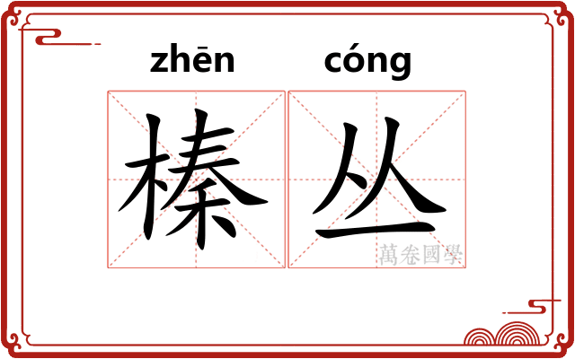 榛丛