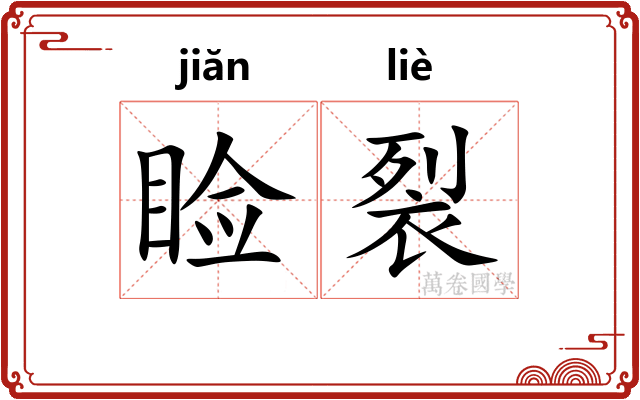 睑裂